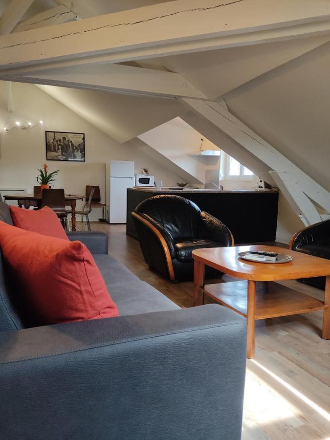 Apartament Grand T2 Climatise Tres Calme Périgueux Zewnętrze zdjęcie